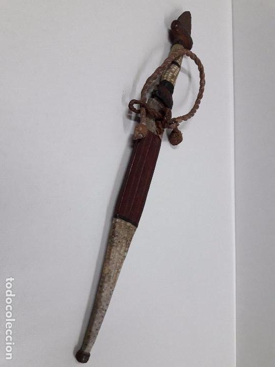 Militaria: DAGA O CUCHILLO CON SU FUNDA - Foto 13