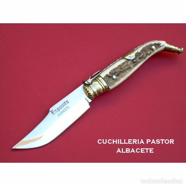 Militaria: Navaja Clasica Albacete Exposito Ciervo 6001-C