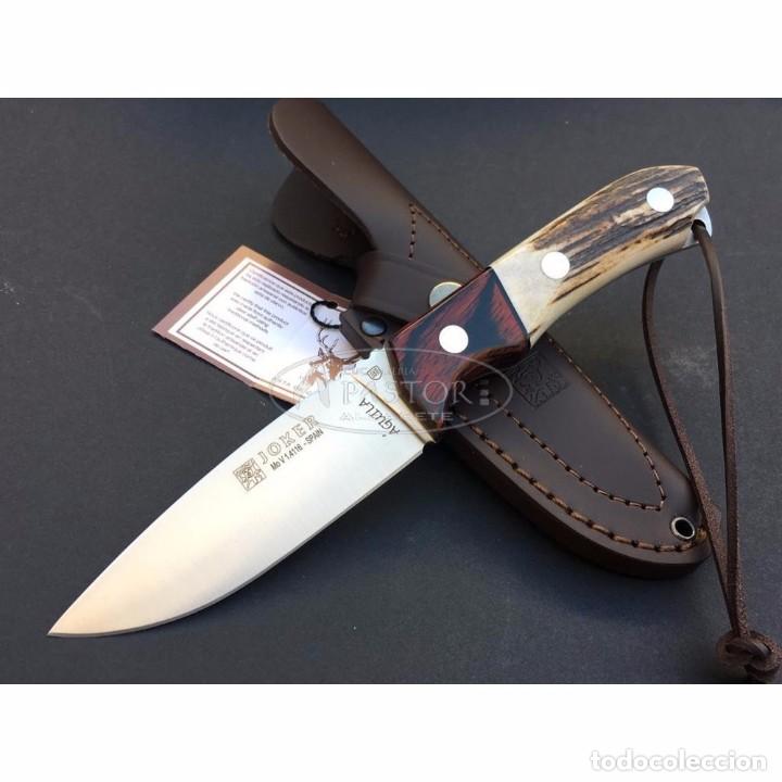 Militaria: Cuchillo Joker Aguila CC105 Stamina/Ciervo