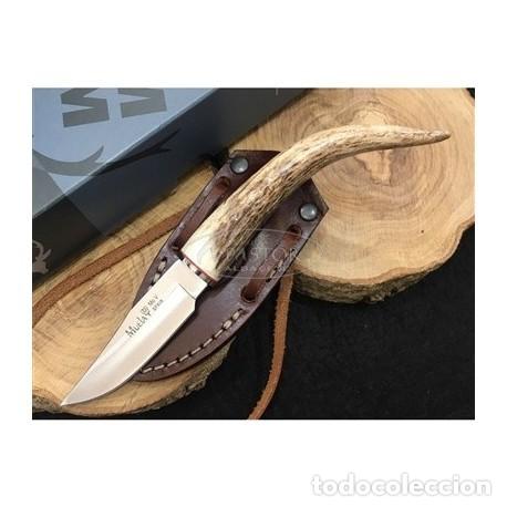 Militaria: Cuchillo Muela BW-6.C Ciervo