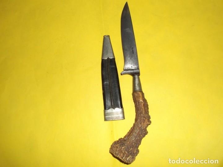 Militaria: Cuchillo caza. 1940 - Foto 2