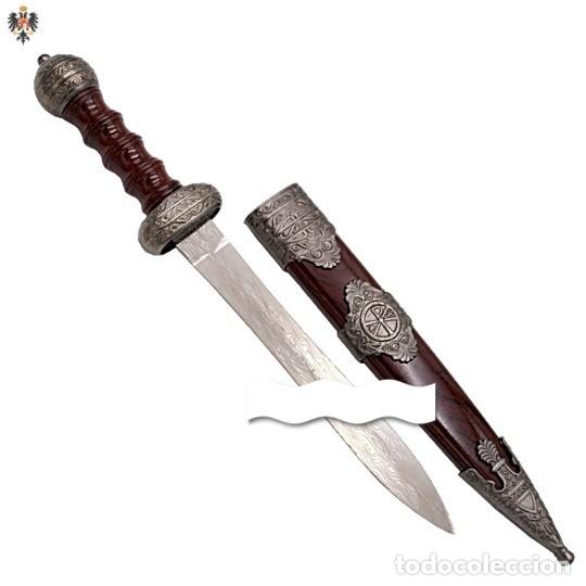 Militaria: DAGA ROMANA GLADIUS + FUNDA. 29,5 CMS - Foto 1