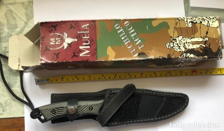 Militaria: Cuchillo FAB 2006 con caja - Foto 3