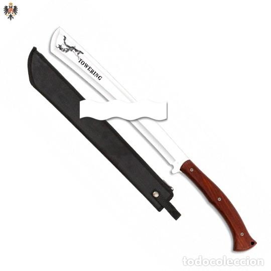Militaria: MACHETA CORTACA&Ntilde;AS CALADA ENTERIZA + FUNDA. 64 CMS - Foto 1