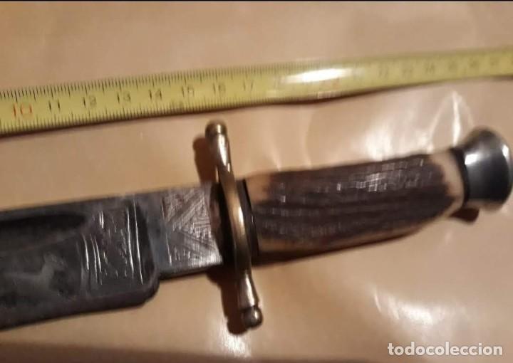 Militaria: Antiguo cuchilo de caza - Foto 6