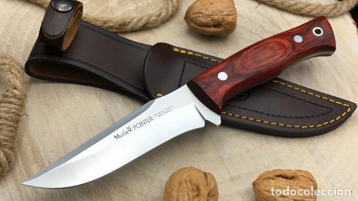 Militaria: Cuchillo Muela Pointer 12R Madera Coral