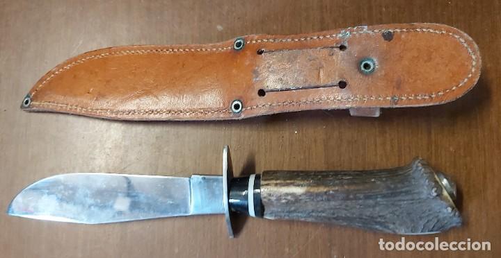 Militaria: Machete 25 cm - Foto 6