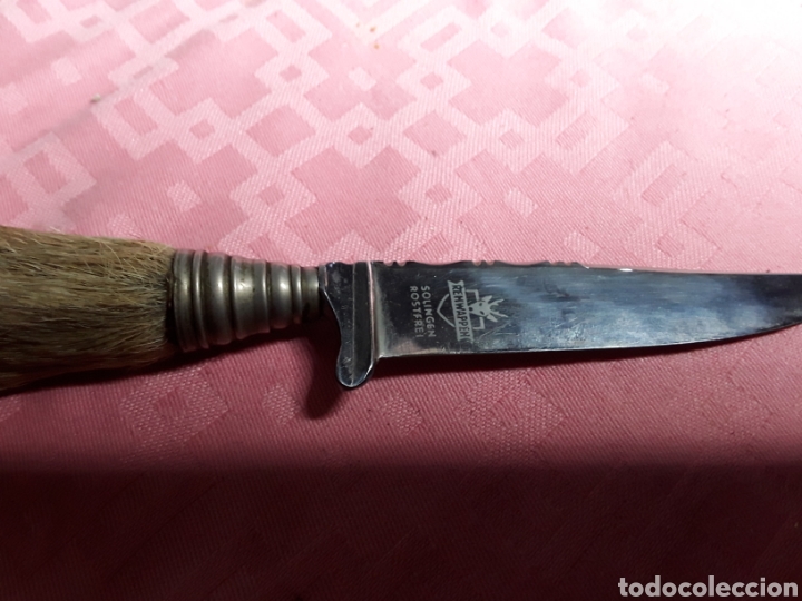 Militaria: Pu&ntilde;al, cuchillo - Foto 3
