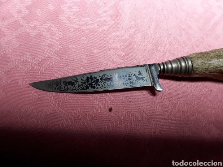 Militaria: Pu&ntilde;al, cuchillo - Foto 5