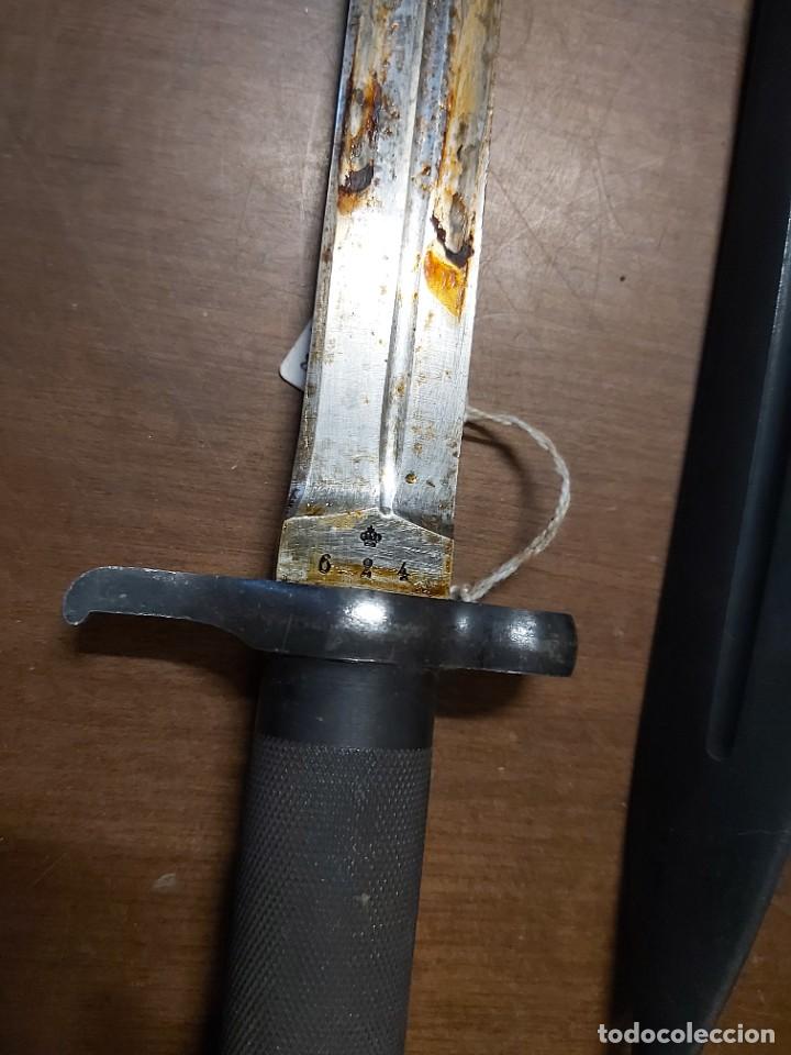 Militaria: Bayoneta sueca - Foto 8