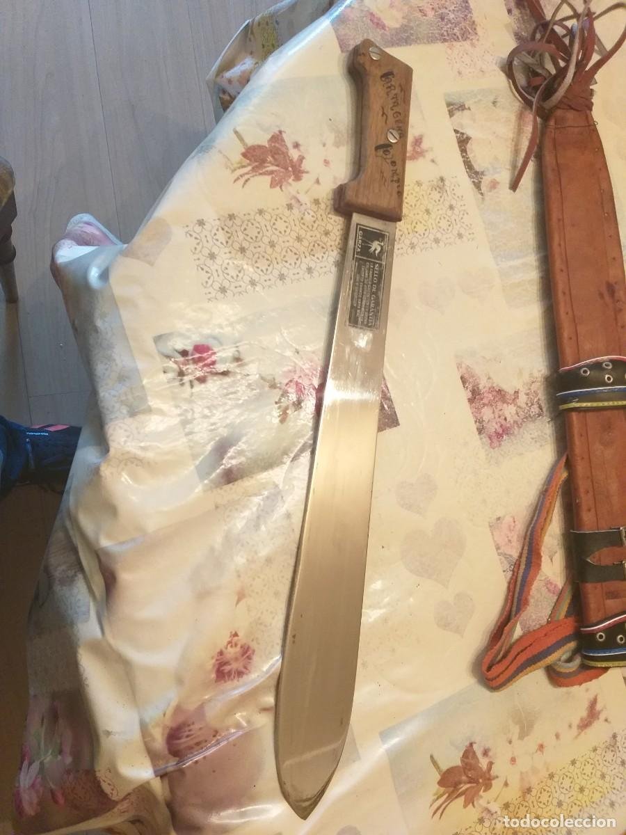 machete cortacañas savage - Compra venta en todocoleccion