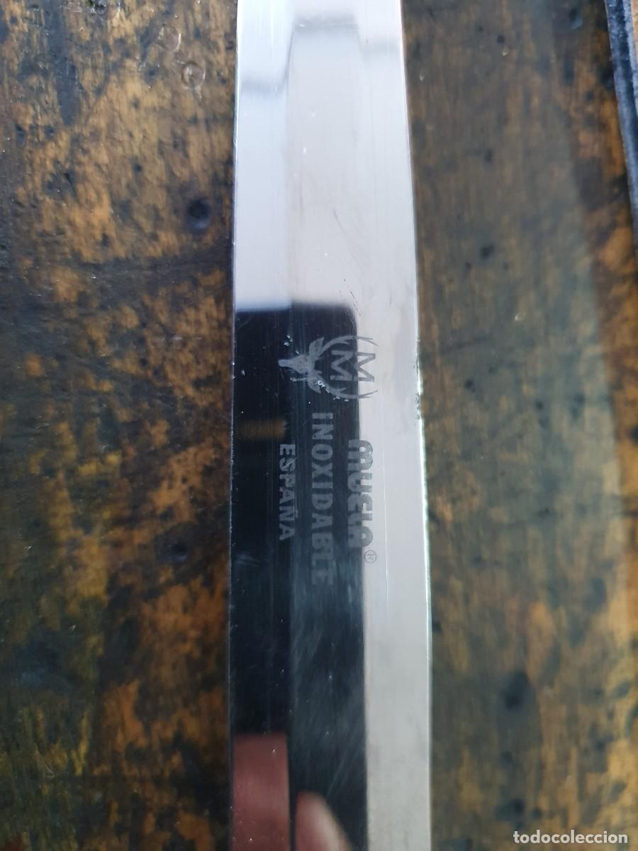 Militaria: CUCHILLO DE COMBATE MUELA - Foto 2