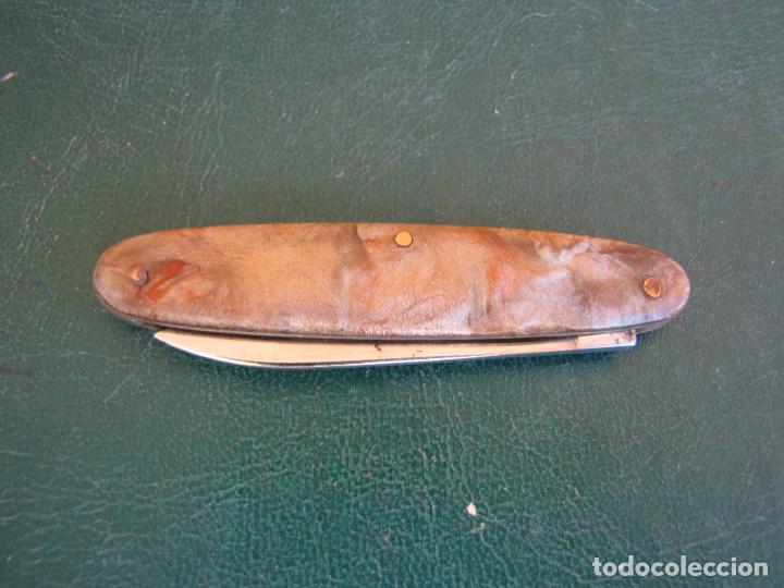 Militaria: 81.- - Foto 2