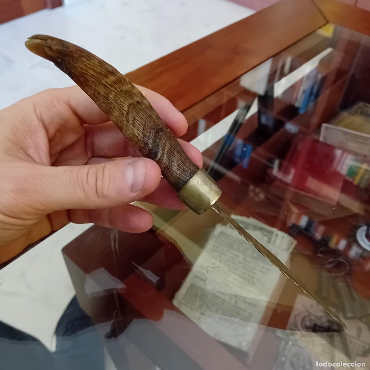 Militaria: Antiguo abrecartas con mango de cuerna - Foto 2