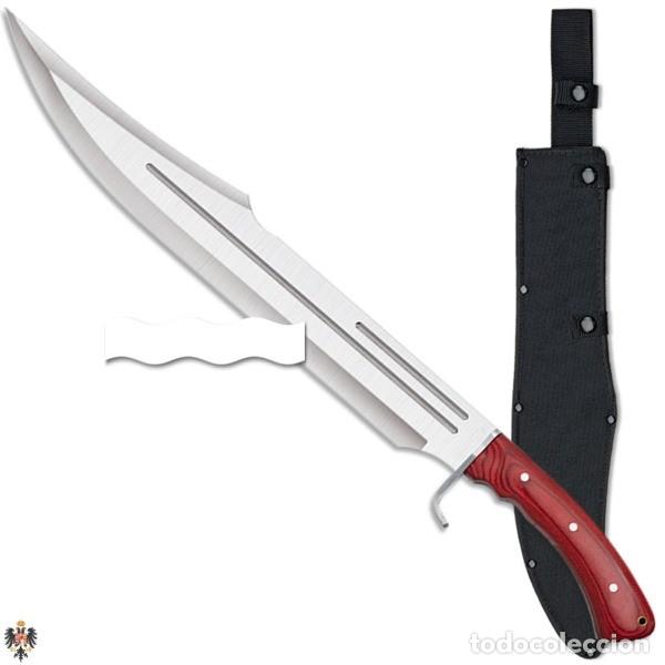 Militaria: CUCHILLO MACHETA CORTACA&Ntilde;AS + FUNDA. 60 CMS - Foto 1