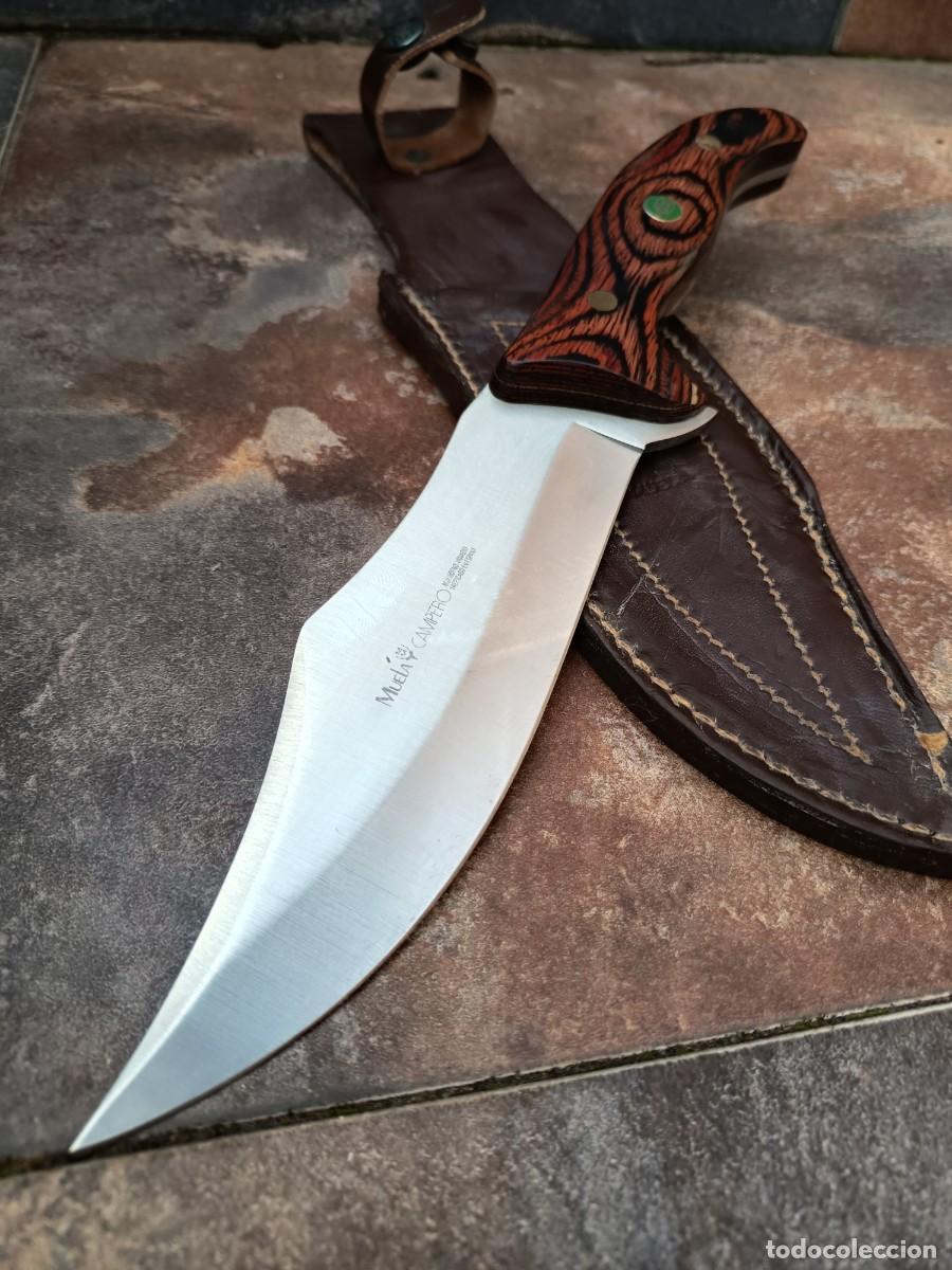Militaria: Cuchillo Muela Campero - Foto 1