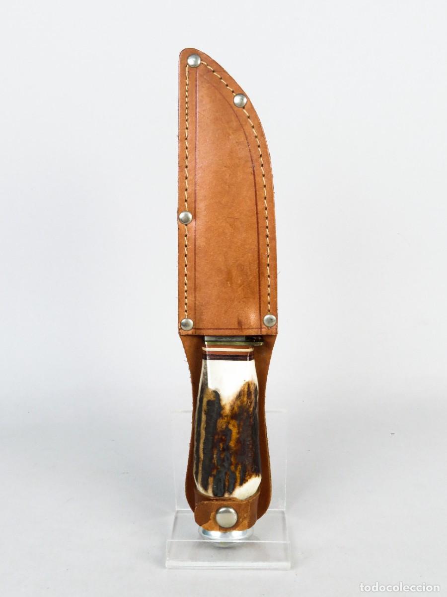 Military Antiques: Machete cuchillo de caza mango de asta Walter Williams Solingen Alemania mediados del siglo XX