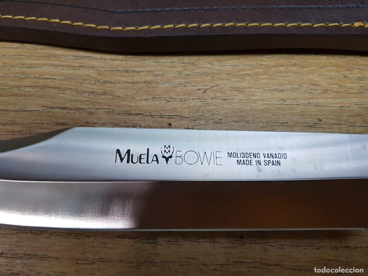 Militaria: CUCHILLO BOWIE- NUEVO - Foto 3