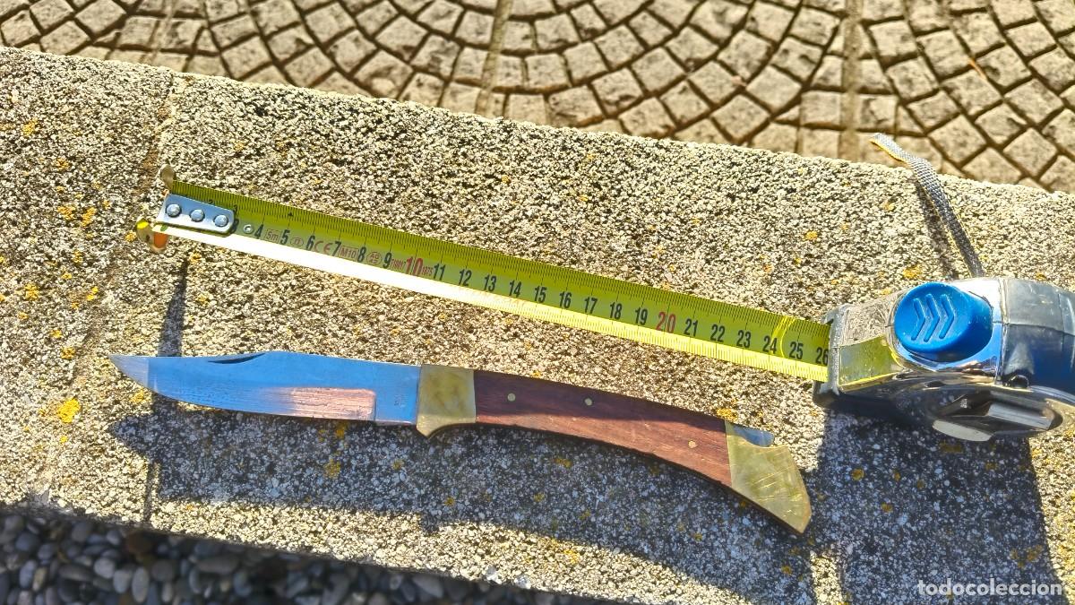 Militaria: Couteau de chasse 26 cm stanless - Foto 1
