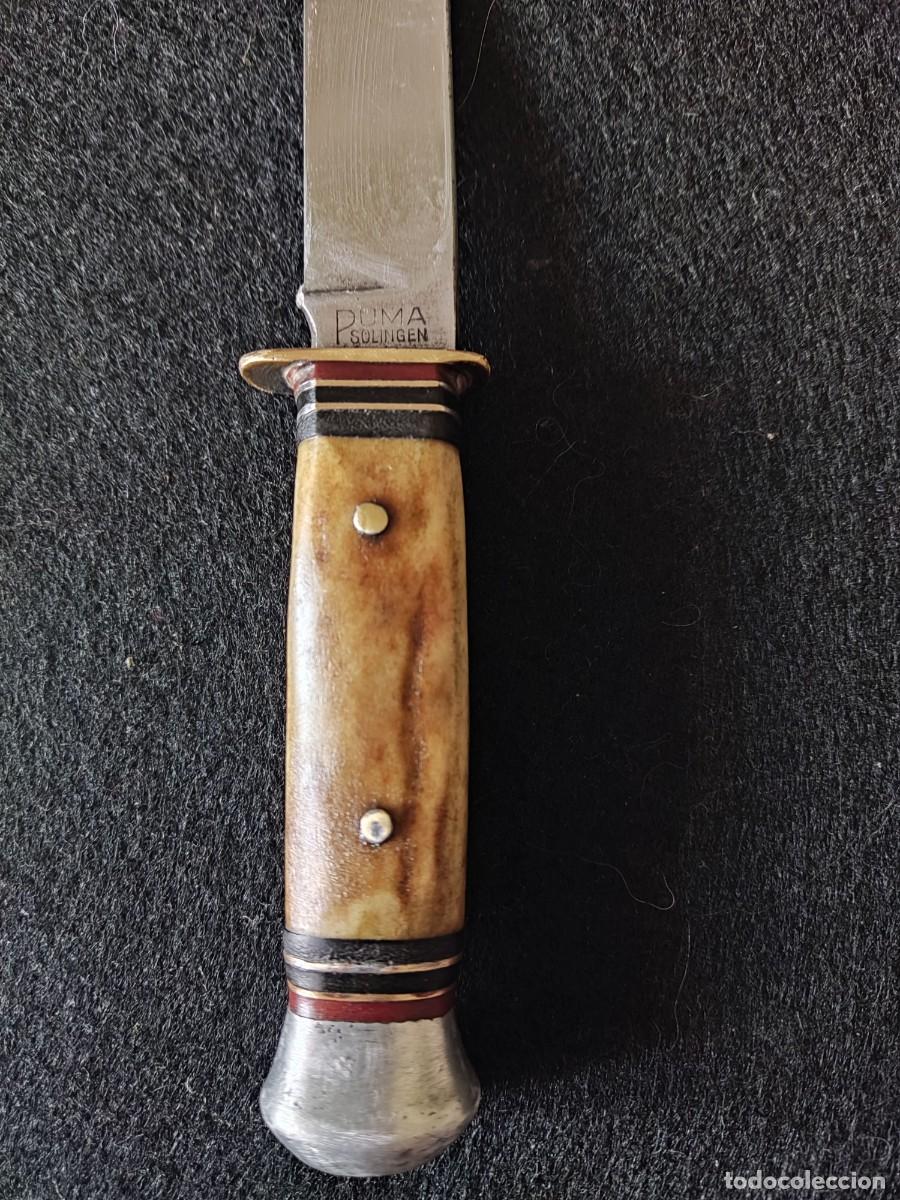 Militaria: Cuchillo puma antiguo - Foto 1