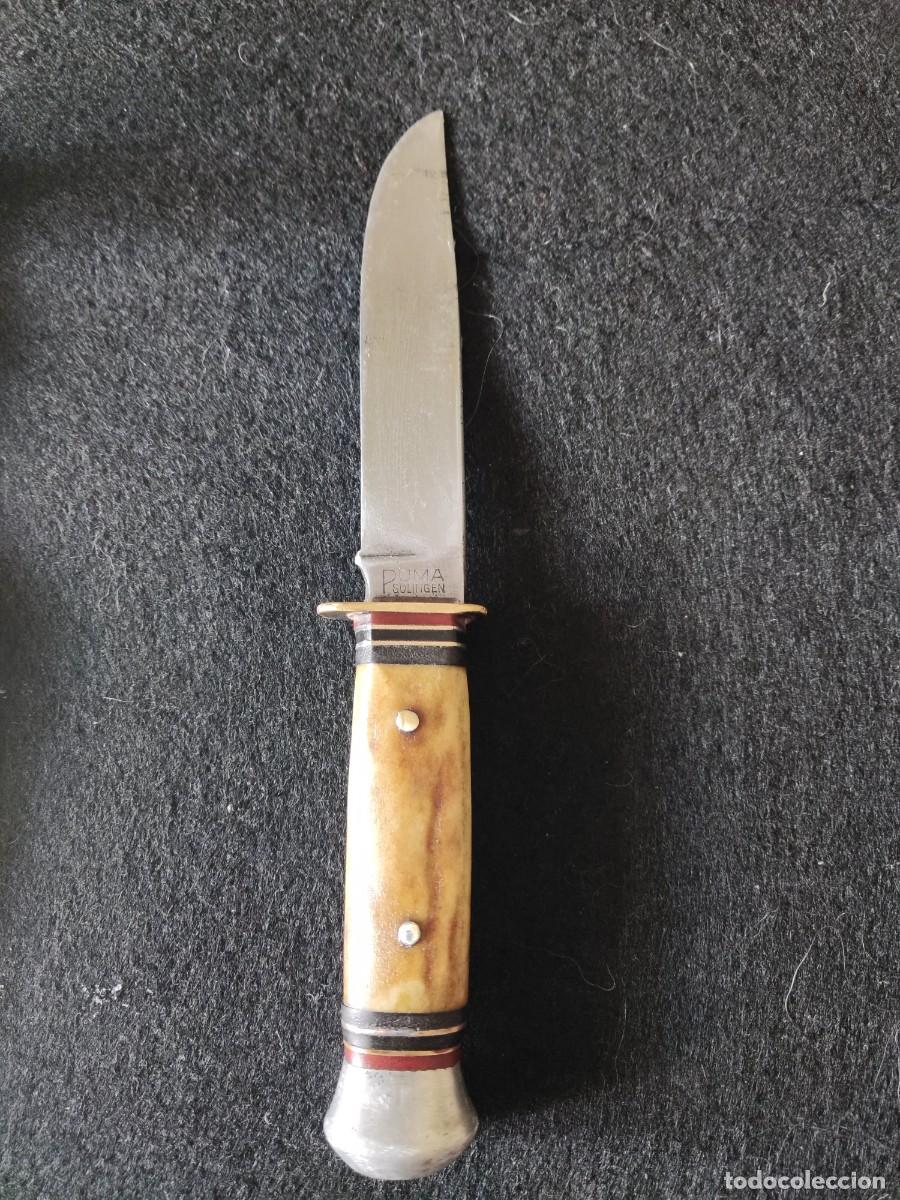 Militaria: Cuchillo puma antiguo - Foto 3