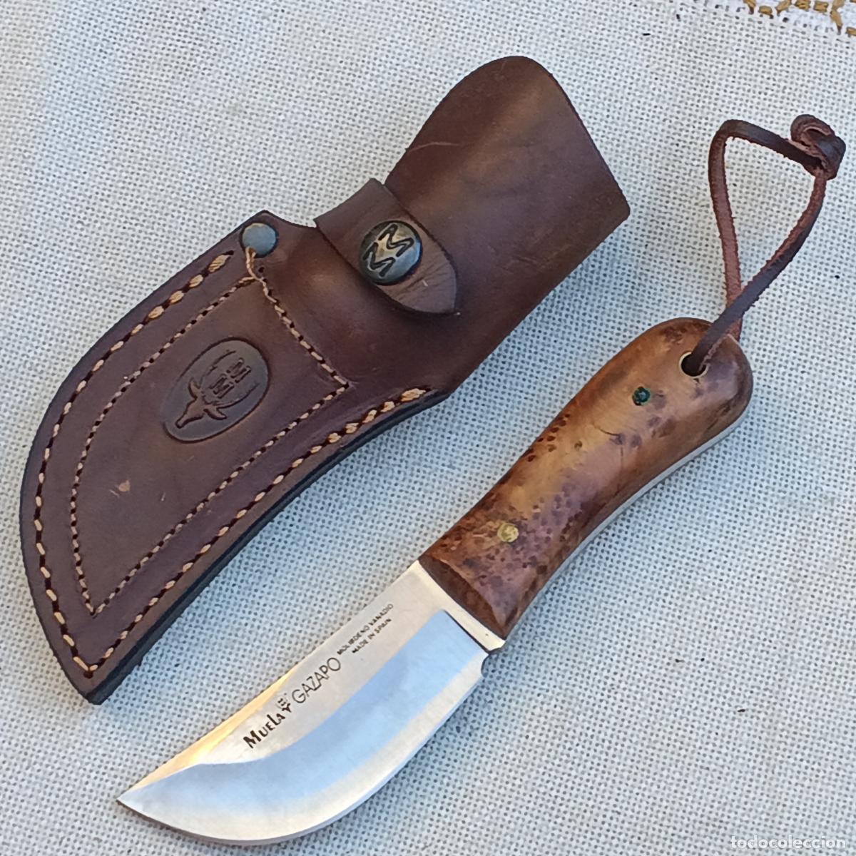 Militaria: CUCHILLO MARCA MUELA - MODELO GAZAPO - MOLIBDENO VANADIO.