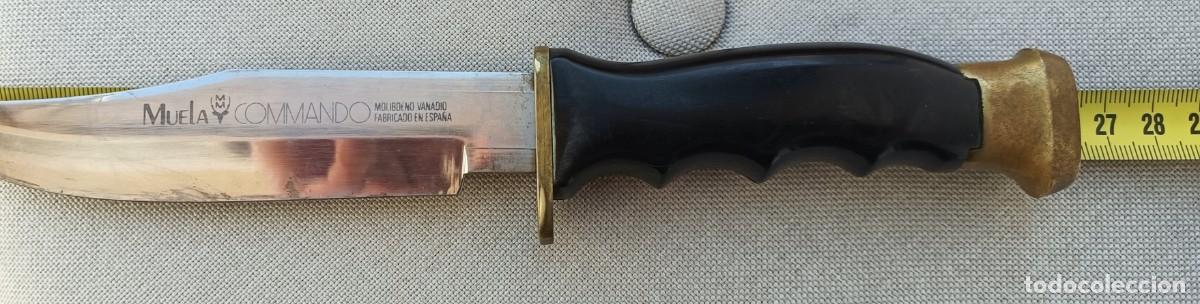 Militaria: Cuchillo Muela Commando - Foto 5
