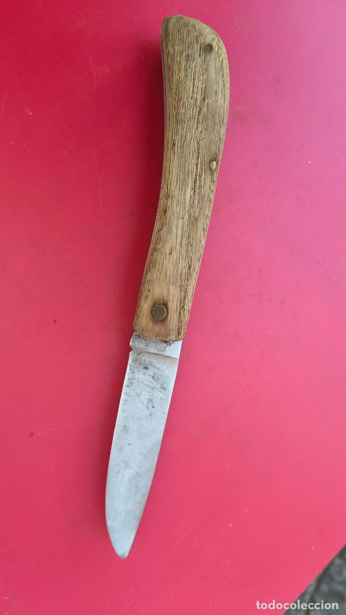 Militaria: Couteau de chasse collection - Foto 1