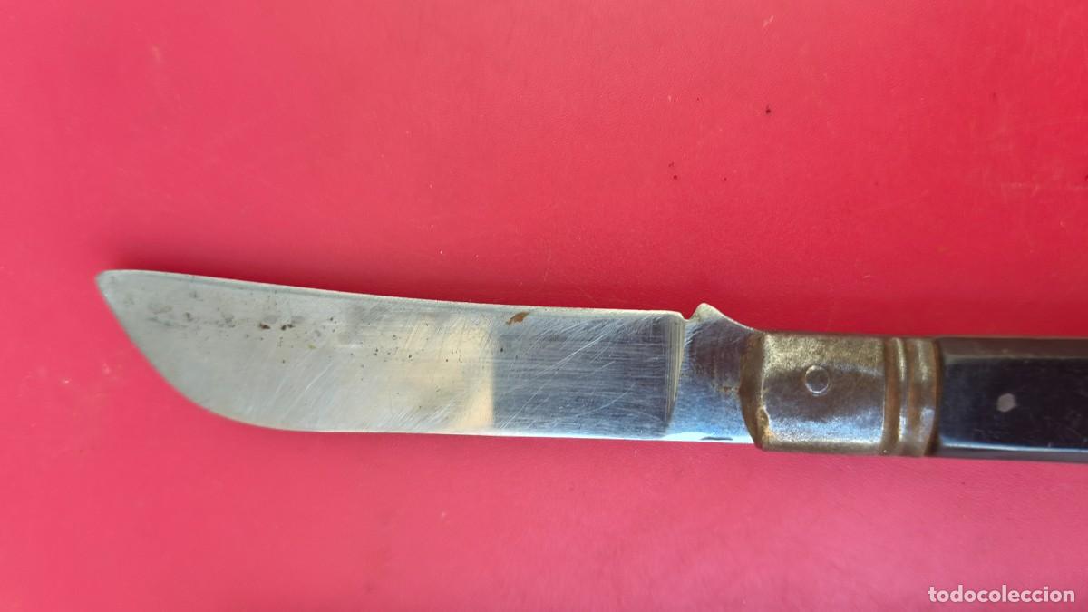 Militaria: Couteau de chasse collection - Foto 1