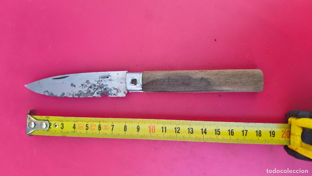 Militaria: Couteau de chasse collection - Foto 1