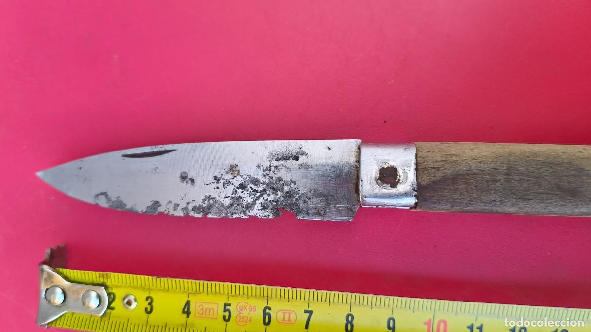 Militaria: Couteau de chasse collection - Foto 3