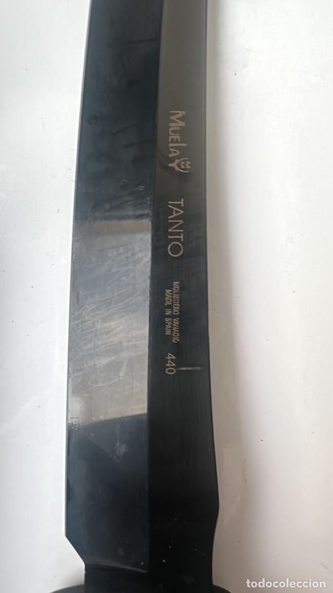 Militaria: Cuchillo muela tanto - Foto 6