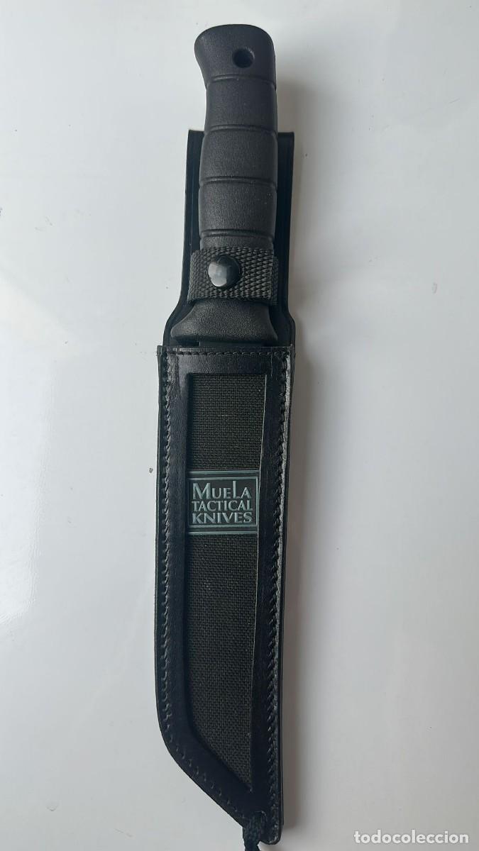 Militaria: Cuchillo muela tanto - Foto 9