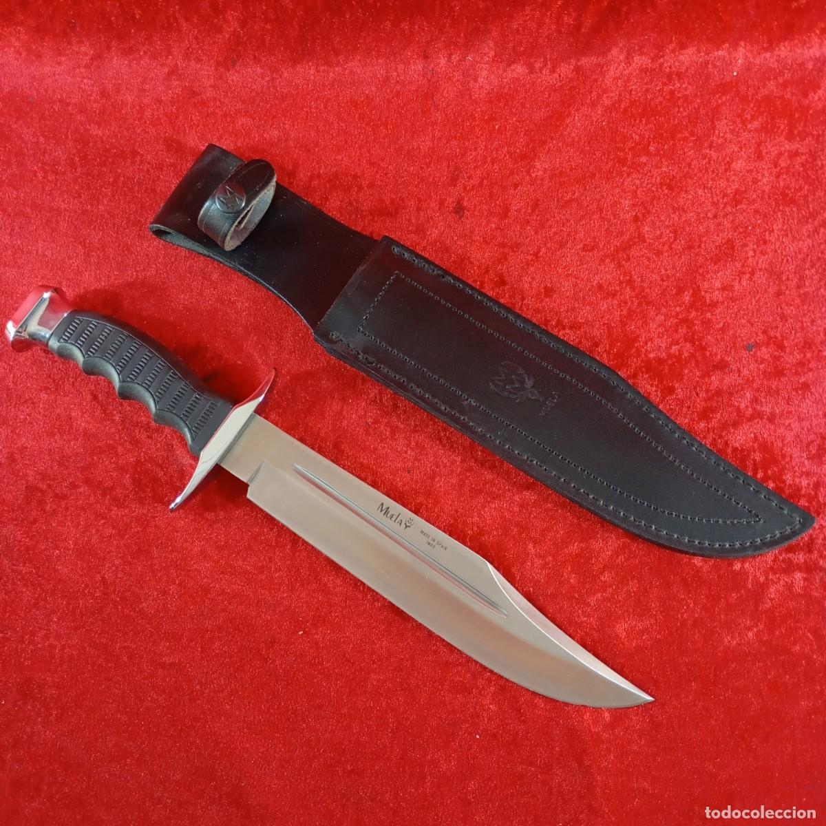 Militaria: MACHETE - MUELA - MADE IN SPAIN - INOX - 34 CM TOTAL - CON FUNDA DE PIEL - PIEZA DE COLECCI&Oacute;N / 650