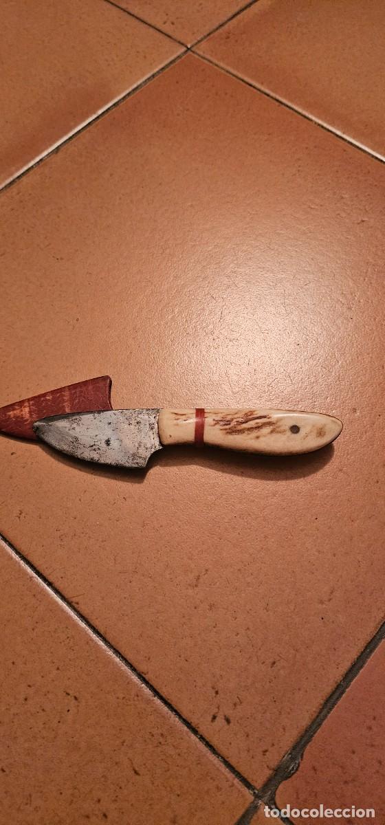 Militaria: Precioso cuchillo corto asta