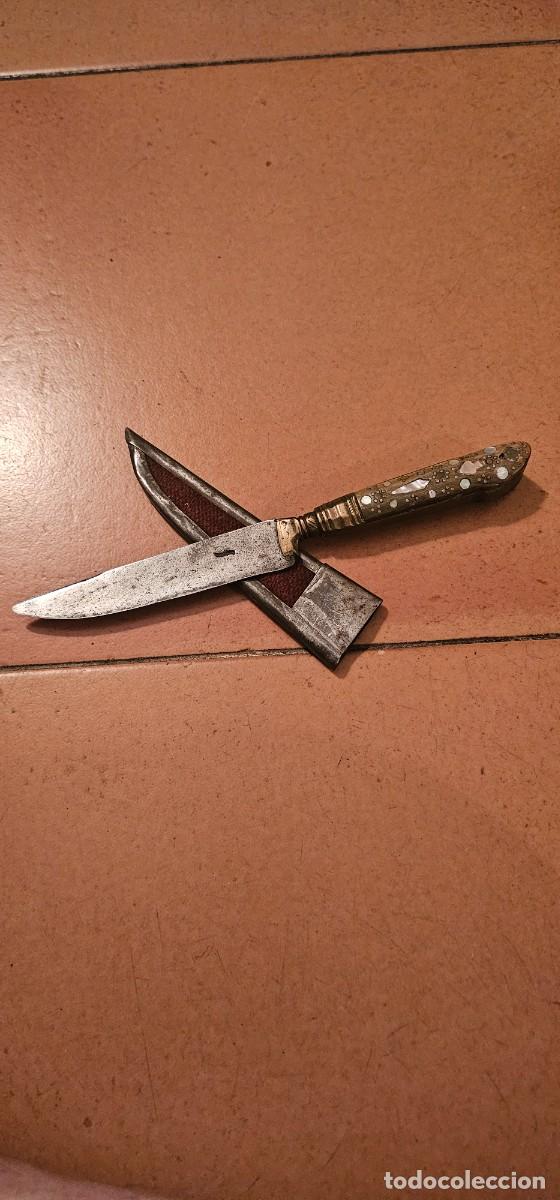 Militaria: Preciosa y antigua daga asta y coral siglo XIX
