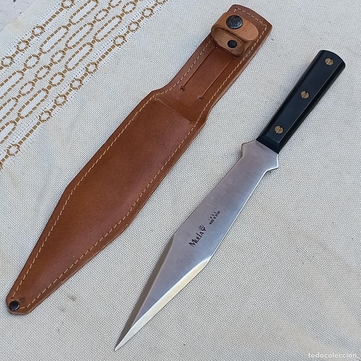 Militaria: CUCHILLO DE CAZA NUEVO MARCA MUELA CON SU FUNDA EN CUERO.
