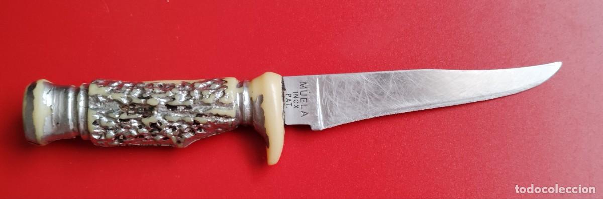 Militaria: CUCHILLO MUELA. DE LOS PRIMEROS..ENVIO CERTIFICADO INCLUIDO