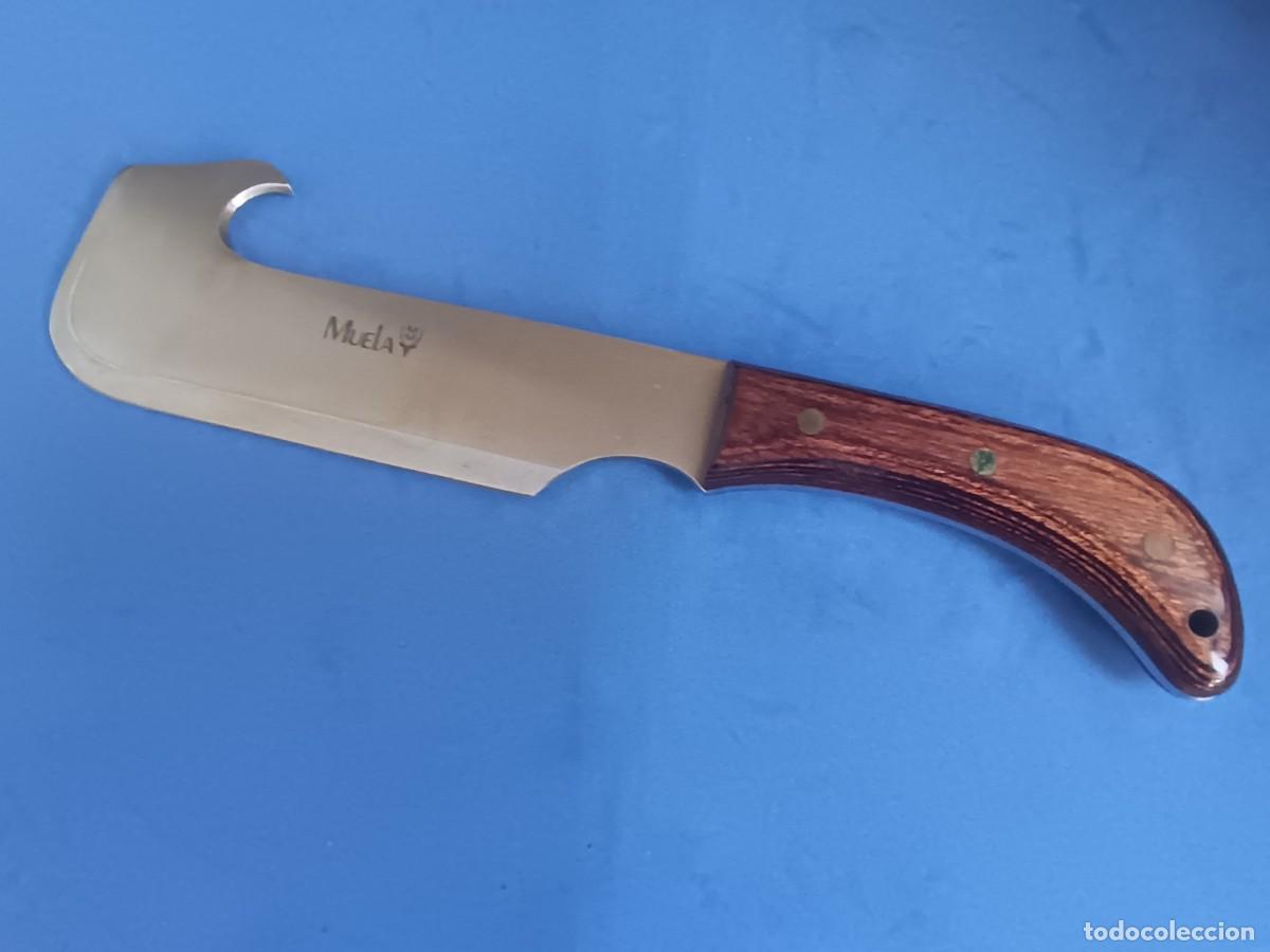 Militaria: Cuchillo de caza muela - Foto 4