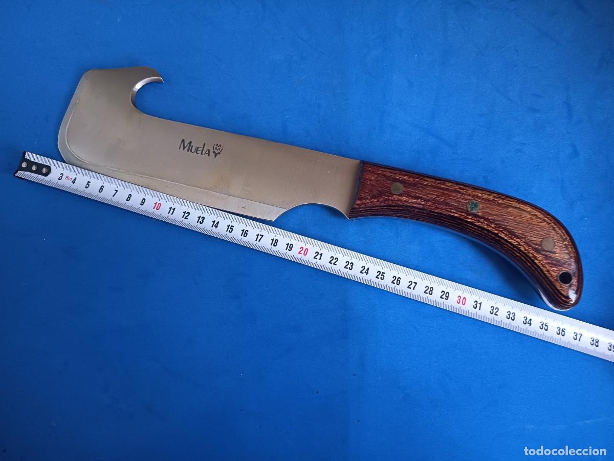 Militaria: Cuchillo de caza muela - Foto 6