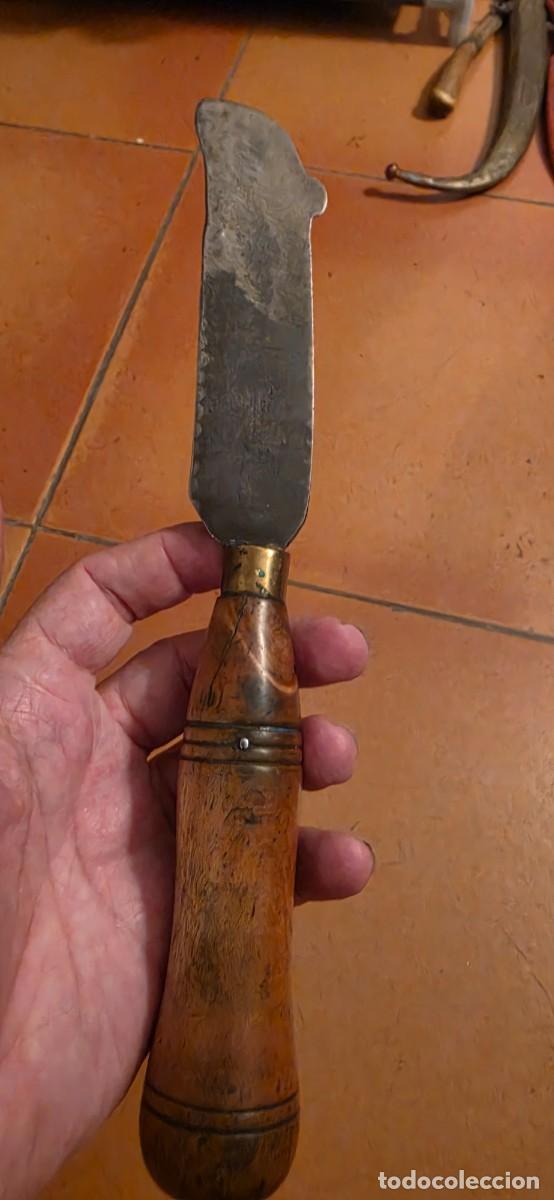 Militaria: antiguo cuchillo tipo podadera espa&ntilde;ol - Foto 2