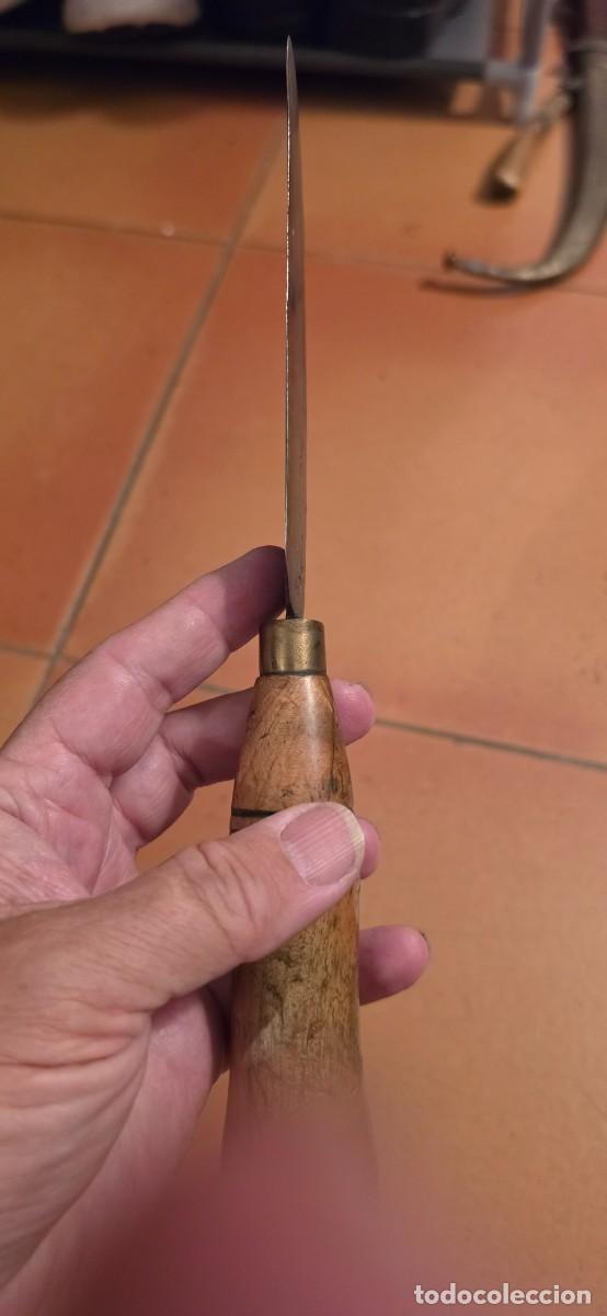 Militaria: antiguo cuchillo tipo podadera espa&ntilde;ol - Foto 4