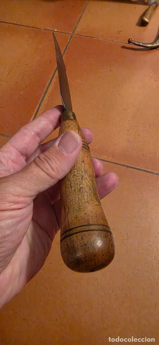 Militaria: antiguo cuchillo tipo podadera espa&ntilde;ol - Foto 5