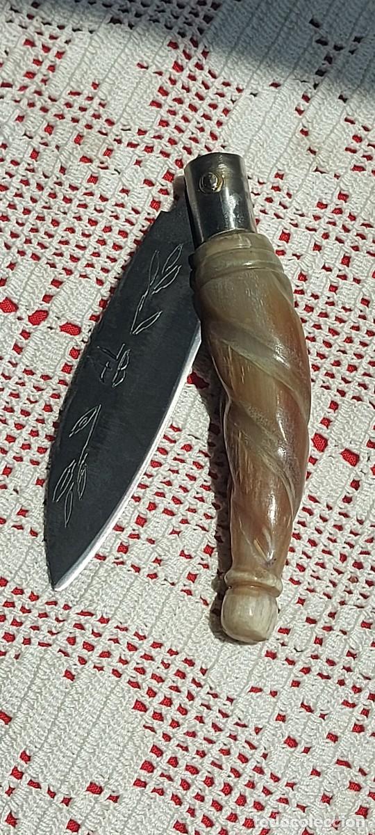 Militaria: Punta de vacuno con salom&oacute;nico - Foto 2
