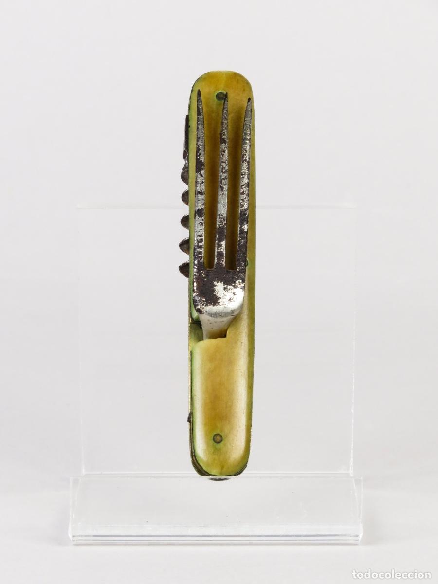 Militaria: Navaja 2 usos cachas asta y herramientas en acero Alemania 1900