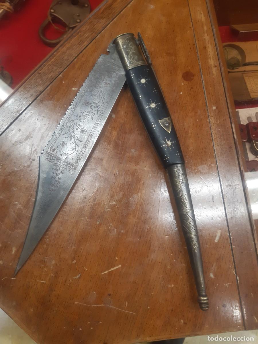 Militaria: NAVAJA SEVILLANA. 60 cm.
