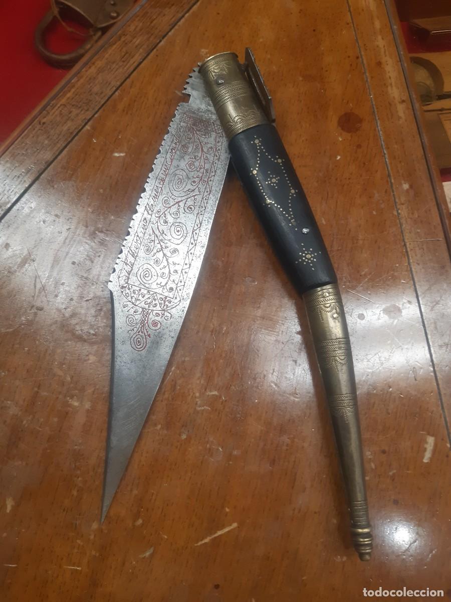 Militaria: NAVAJA SEVILLANA. 51,50 cm.
