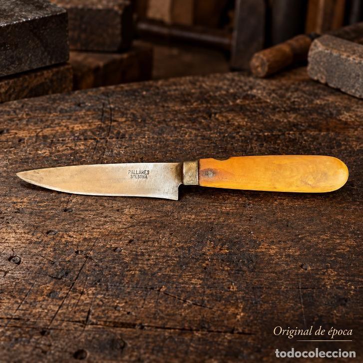 Militaria: (NA-260910)CUCHILLO PALLARES DE SOLLSONA(LLEIDA)