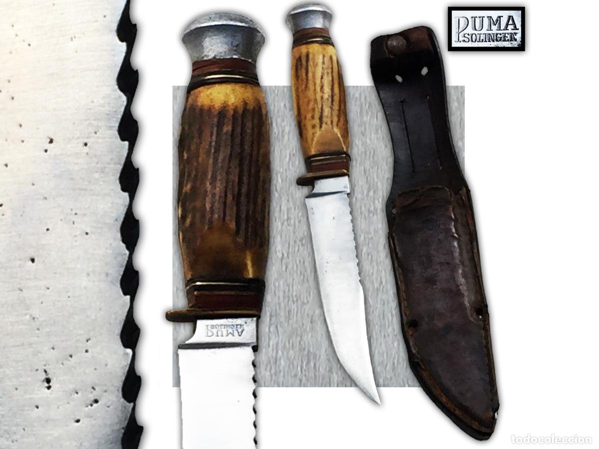 Militaria: RARE & BEAU COUTEAU PUMA DENTS DE SCIE - XX - Original