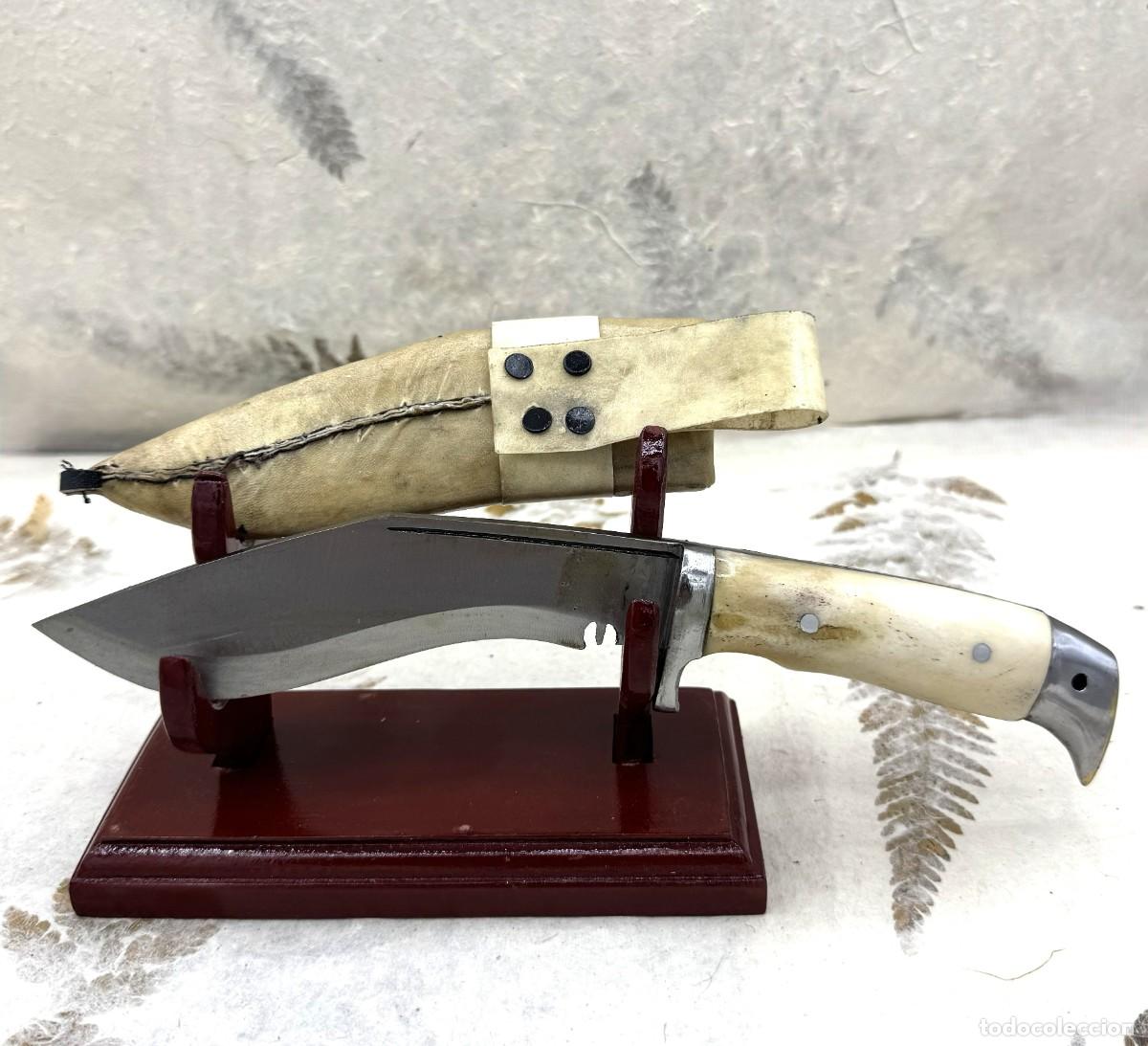 Militaria: Cuchillo Antiguo de Colecci&oacute;n 26cm &ndash; Hoja Fija de Acero 13cm
